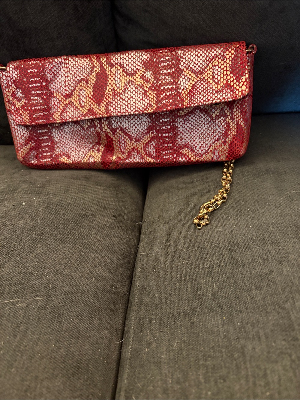 Monsac Red Snake-Print Chain Clutch Bag